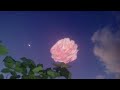 Bastille Oblivion Slowed