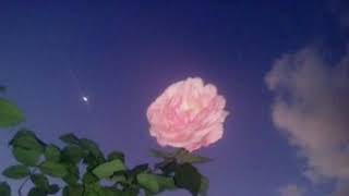 Bastille - Oblivion (slowed)