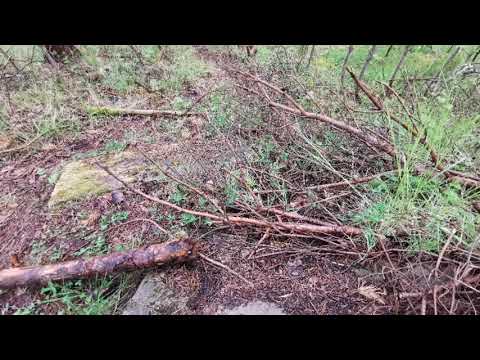 Skyddsrum i KALLINGE - med paddor - övergivet - Ronneby - 200524 - Huawei p30 PRO (BLEKINGE)