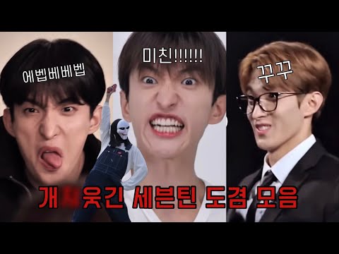 개웃긴 이도겸 모음