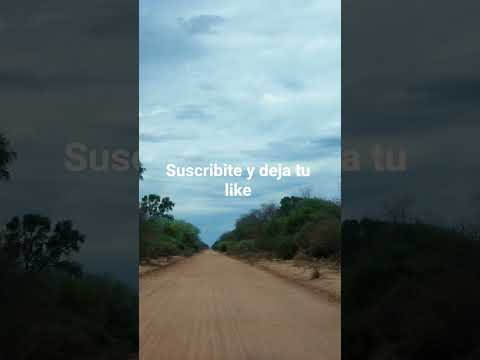 taco pozo chaco