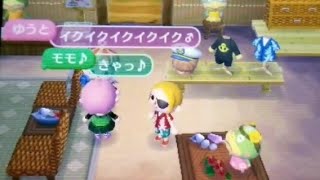 【とび森】男女二人の破廉恥な会話の様子