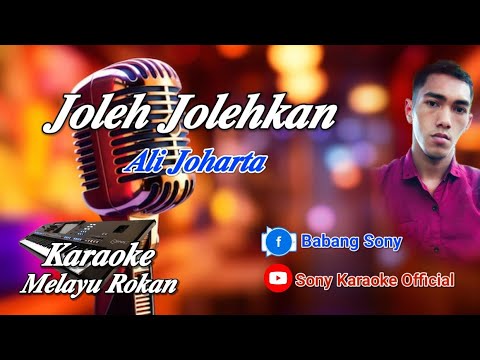 JOLEH JOLEHKAN ALI JOHARTA KARAOKE LAGU ROKAN HULU | @sonykaraokeofficial