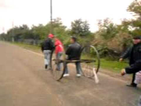 plimbare ca la zavoaia.3GP