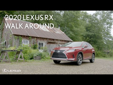 2020 Lexus RX 350 & 350 F SPORT Walk Around | Lexus