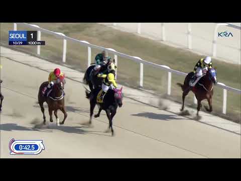 (Seoul) 2022.10.29 R1