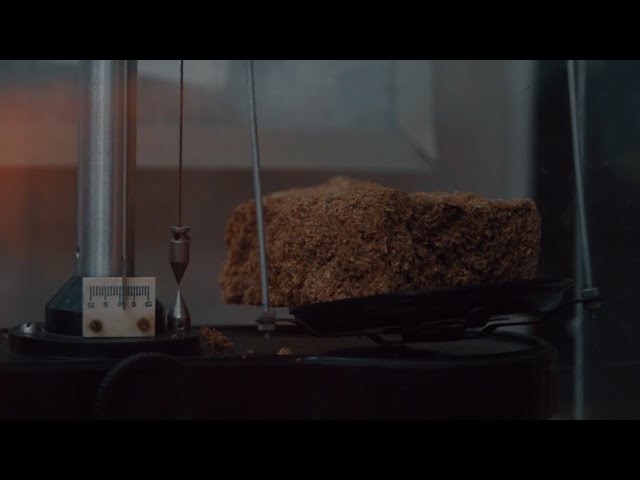 Важнейшая дата в истории страны