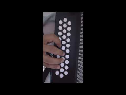 3. TUTORIAL EN ACORDEÓN – ETERNO ENAMORADO DEL BINOMIO DE ORO