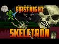 Terraria - Skeletron First Night [Speedrun Challenge ...