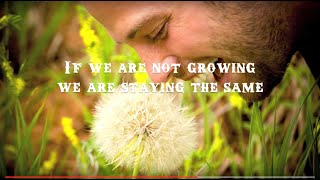 &quot;We Grow&quot; by Tyler Stenson (w/ Lyrics)
