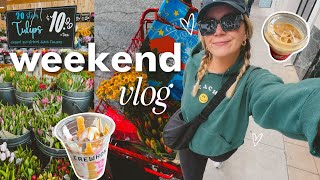 touring an *insanely* overpriced apartment, trader joe's haul & MASSIVE spring cleaning purge!