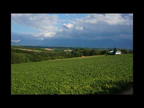 Greenfields（Brothers Four）：（Chromatic harmonica）