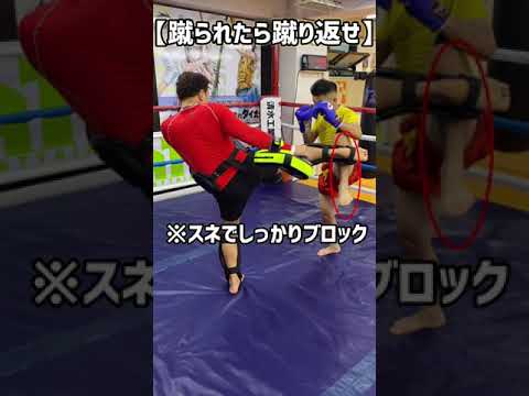 【格闘技】蹴られたら蹴り返す！やられたやり返せ！　#shorts
