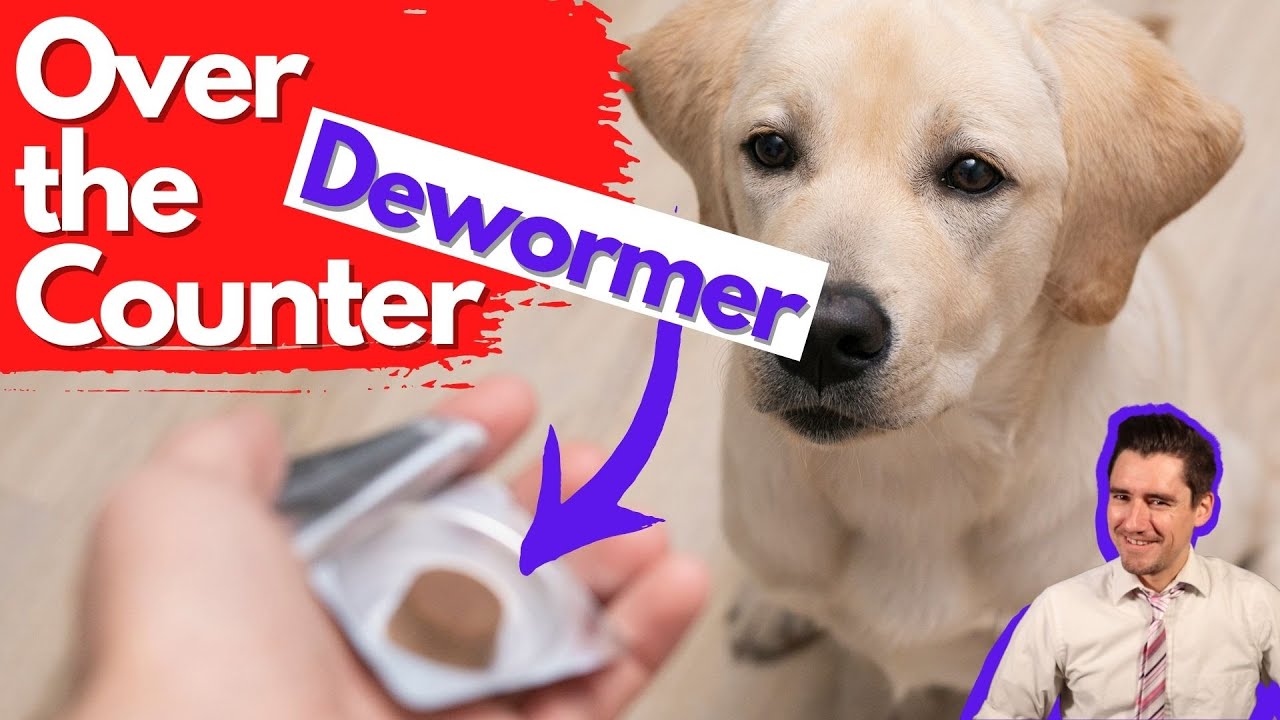 Over the Counter Dog Dewormer. Dr. Dan talks dewormers.