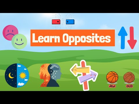 Learn the opposites