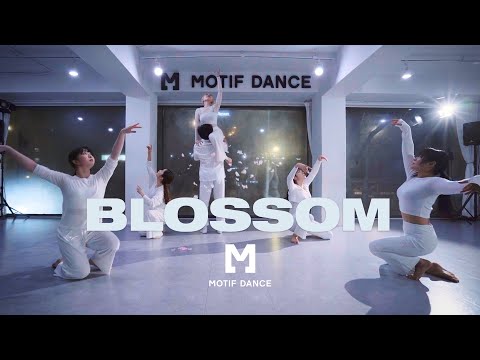 Dermot Kennedy - Blossom / Dongjun Choreography | Motif Dance Academy
