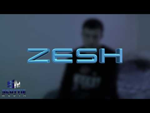 ZESH - Sorry | Post Malone (Freestyle)