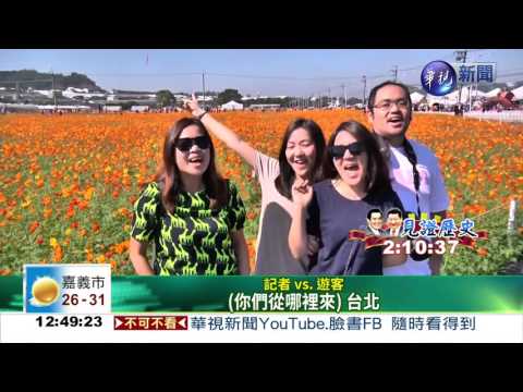 新社花海節登場 賞花爆車潮!