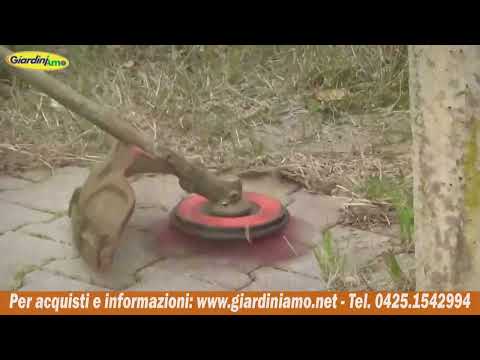 Miniatura Video