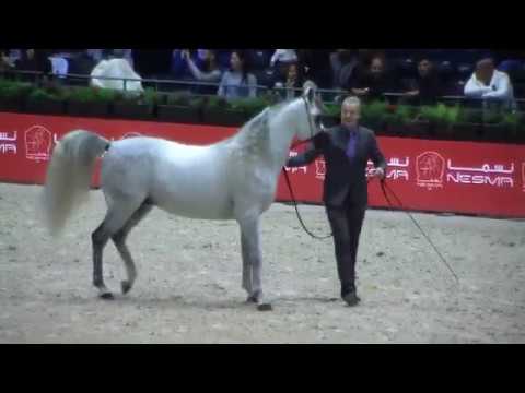 Memories of Paris 2019 - World Championships - Part 9 - Group 6a - Senior Male