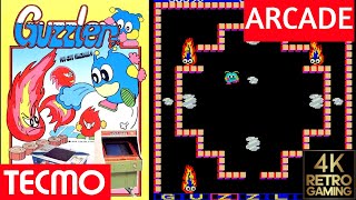 Guzzler Arcade ( Tecmo 1983 ) 4k Gameplay