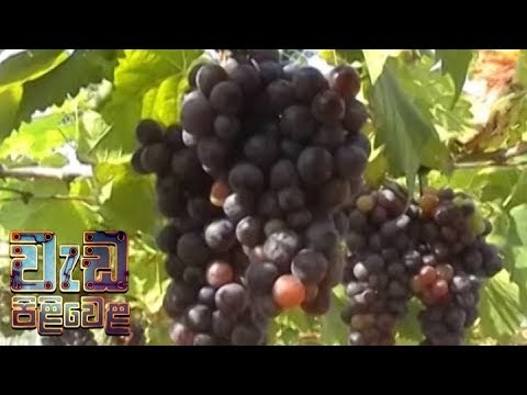 Wedapiliwela - (2018-09-26) | ITN