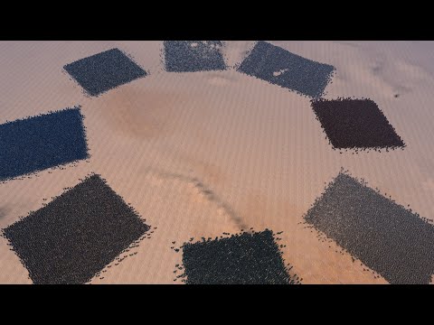 8 ARMIES | 5000 SOLDIERS EACH FREE FOR ALL - Ultimate Epic Battle Simulator