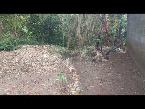 Imagen de Venta de Lotes y Terrenos en Anselmo llorente - Tibás Anselmo Llorente - SAN JOSÉ