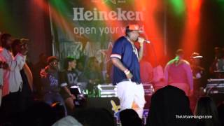 Imported From The D Concert Series Highlights