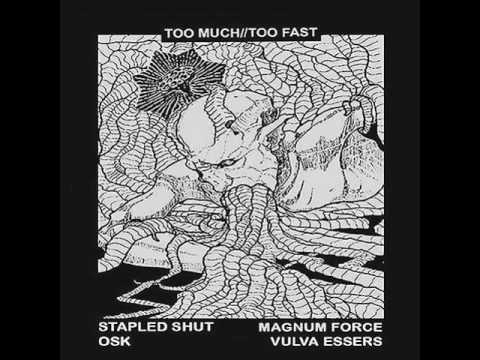 Stapled Shut​ - Too Much//Too Fast 7