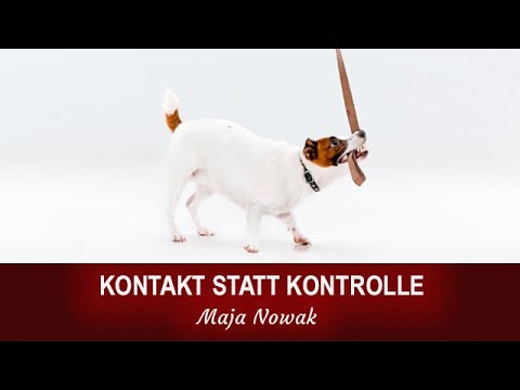 "KONTAKT STATT KONTROLLE" - Maja Nowak Hundeliveshow 2019 - Zuschrift der Halterin unter Video