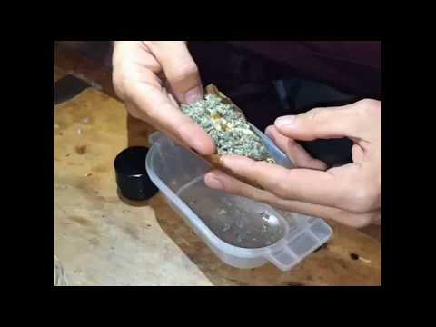 How to roll a backwood in 15 seconds : Worlds Fastest Backwood Roll!!