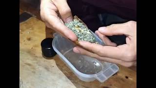 How to roll a backwood in 15 seconds : Worlds Fastest Backwood Roll!!