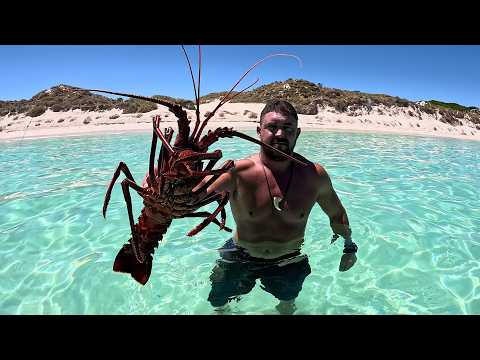 Rottnest 🏝️ Summer Sess 🌊☀️ LOBSTER Up 🦞 Squid On 🦑 (Part 1) sashimi crayfish