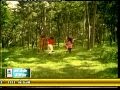 THIKKU THERYAATHA KAATIL PAATUKKAARAN PAADI