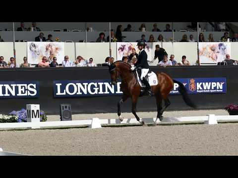 Nymphenburg's First Ampere at CH-M-D YH Final for 6 year old horses