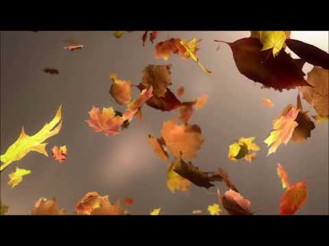 Ioan Dobrinescu (*1960): Leaves falling (2014), played by Ion Bogdan Ştefănescu