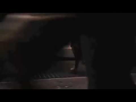 Relația dintre un caine și-un om😢😢