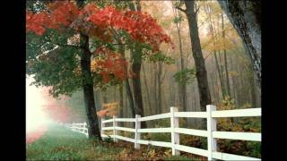 Elmara © Transit ☼ Café Del Mar