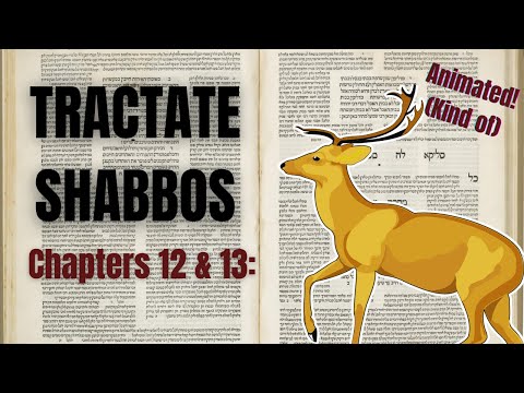 An Animated Summary of the Entire Talmud | Book 2, Chapters 12 & 13