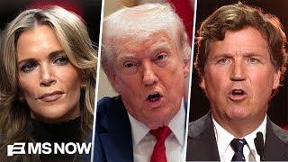 'Mad at daddy!' MAGA stars REBUKE Trump amid 'betrayal' and SINKING approval