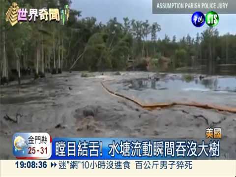 不可思議! 水塘"天坑"瞬間吞大樹