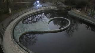 Seals in Budapest Zoo