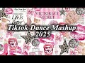 Tiktok Dance Mashup 2025