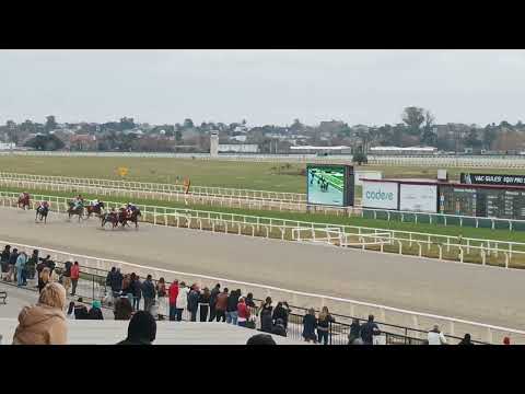 Quatro y Vinte - Criterium Potrancas G2