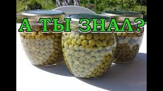Ссылка