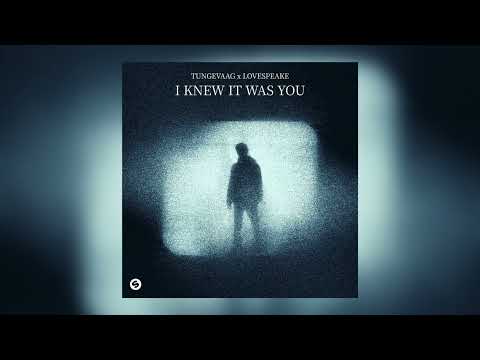 Tungevaag x Lovespeake - I Knew It Was You