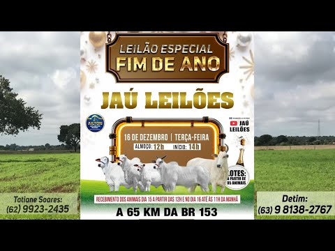LEILÃO ESPECIAL DE FIM DE ANO   - JAU LEILÕES  - JAU DO TOCANTINS  - 16/ 12/ 2025