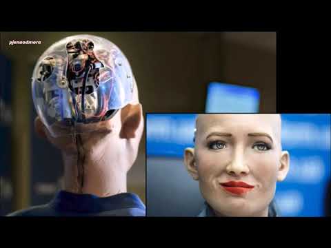 Kakvu budućnost očekujete - Želimir Stanić