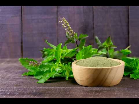 Tulsi Leaves Powder